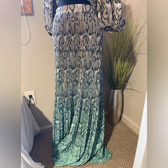 COPY - AFRM Rocco Ombré Snake Print Maxi Skirt - Picture 2 of 5